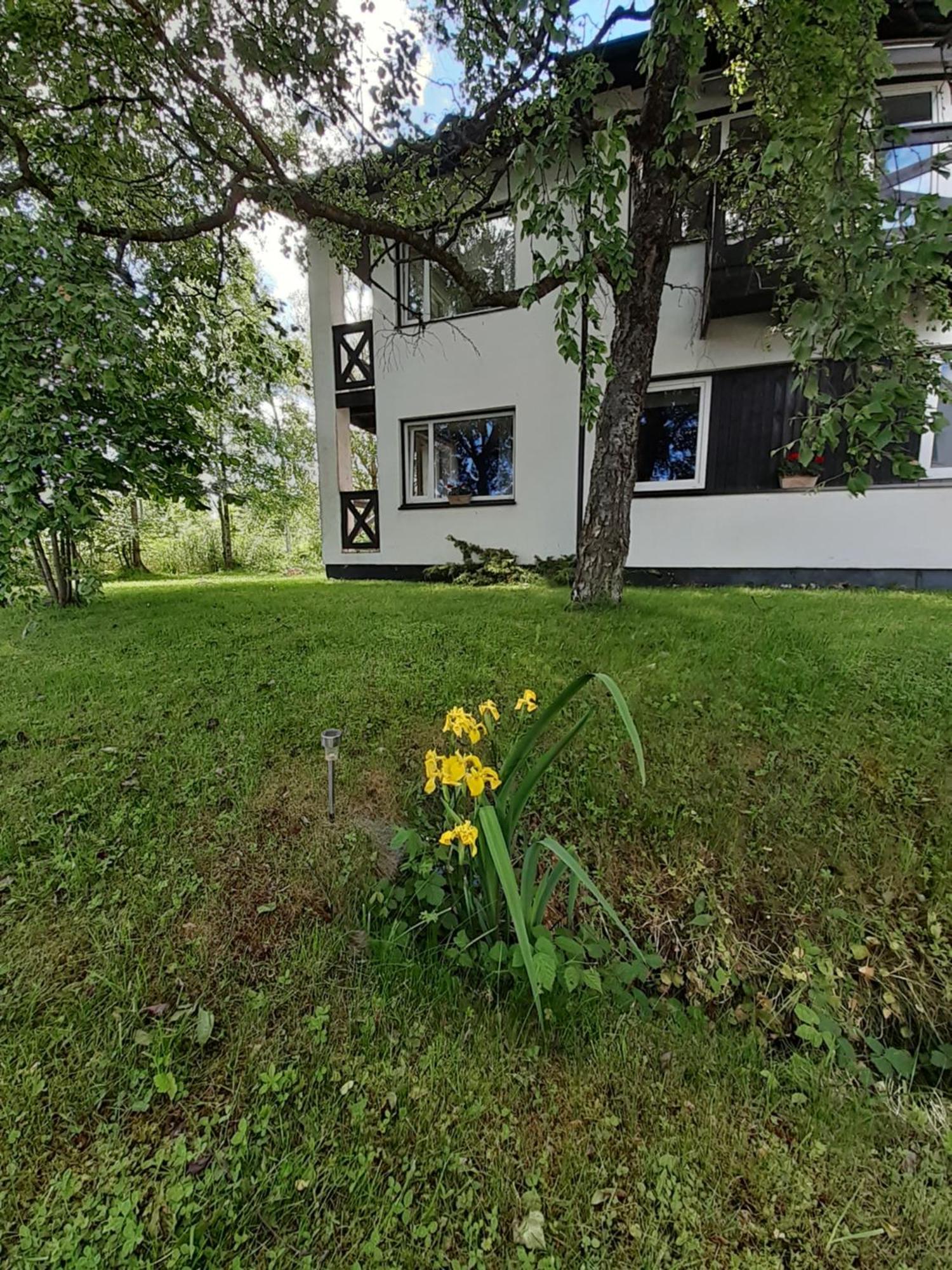 Tuule Villa كوريسارِ المظهر الخارجي الصورة